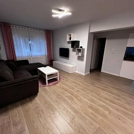 Hugo House Timisoara Apartment Екстериор снимка